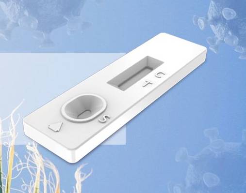 SARS-CoV-2 Antibody Test Strip